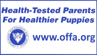 All puppy parents OFFA tested